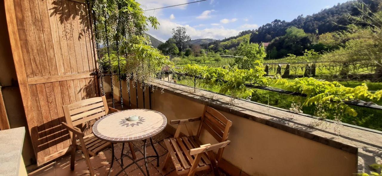 Busturia Ecohotel Rural Angiz المظهر الخارجي الصورة