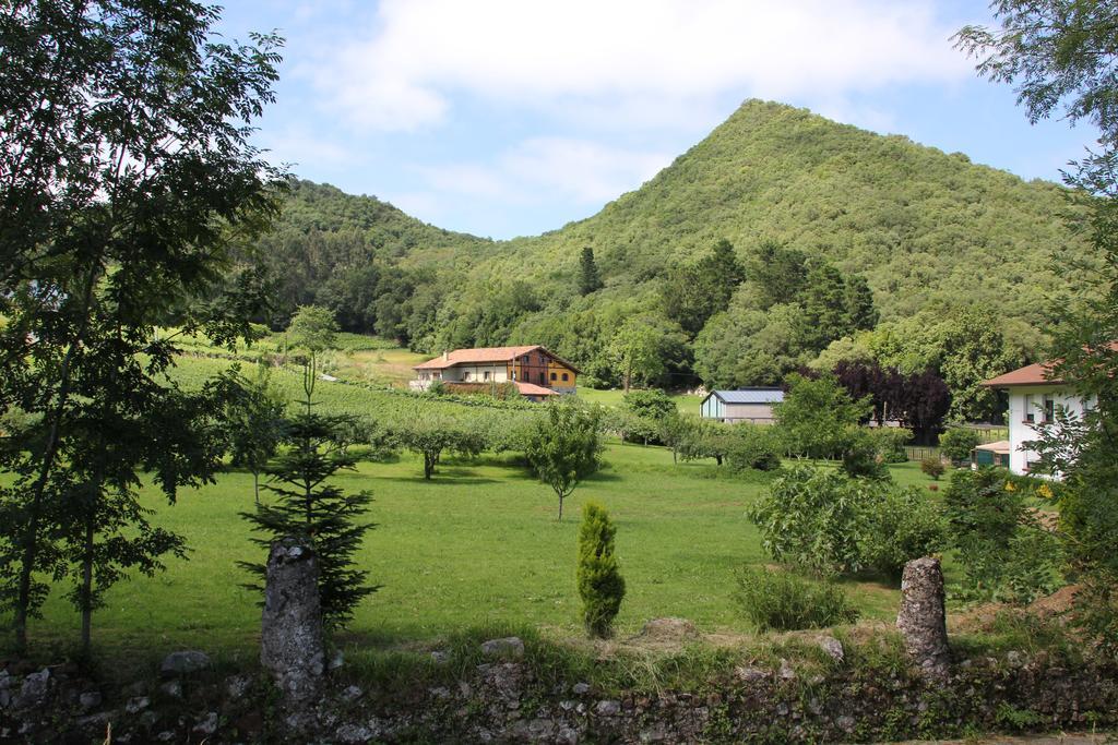 Busturia Ecohotel Rural Angiz المظهر الخارجي الصورة